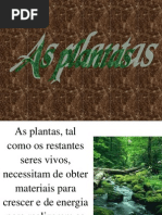 Fotossíntese Respiração e Transpiração