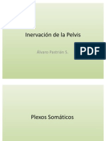 Inervacion de La Pelvis