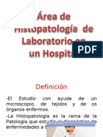 histopalotologia