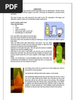 Lava Lamp Experiment Overview | PDF