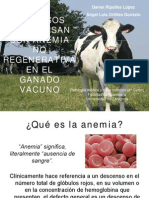 Anemia No Regenerativa en Vacuno