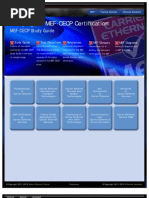 Download MEF On The GO 10120617V2 by Jay Singh SN129260168 doc pdf