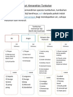 Nota Pencaran Tumbuhan