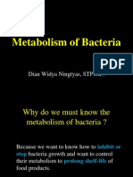 Metabolism of Bacteria: Understanding Growth and Inhibition