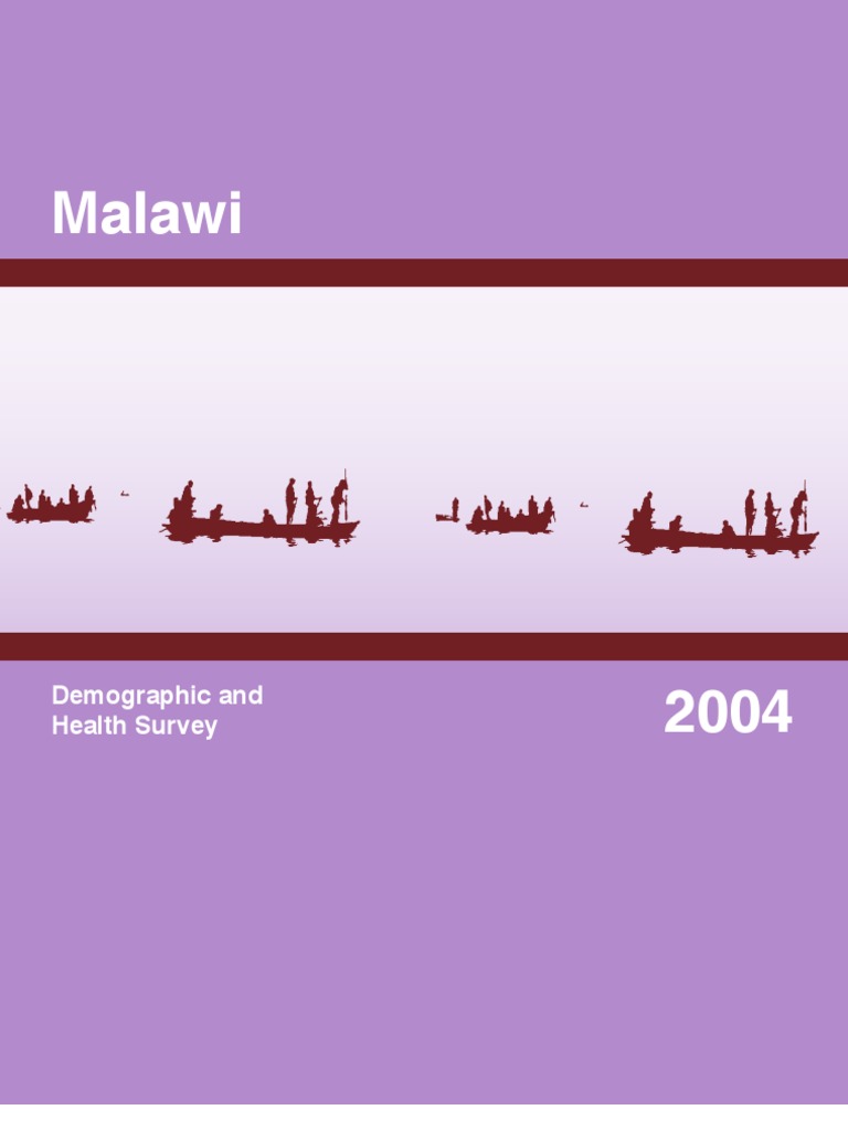 Malawi DHS 2004 PDF Safe Sex Hiv/Aids