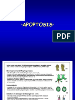 Apoptosis Review2