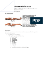 Anatomy Proximity Terms