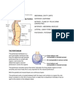 Peritoneal Anatomy Lecture Notes