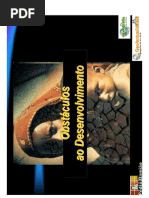 Obstáculos ao Desenvolvimento