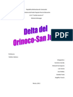 Delta Del Orinoco-San Juan