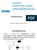 Estudo de Um Hederograma