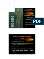 Anatomofisiologia Gd b1 Aula2