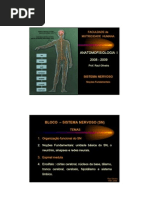 Anatomofisiologia Gd b1 Aula2