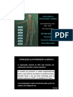 Anatomofisiologia Gd b1 Aula3