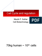 Lecture Covering Details of the Cell Cycle