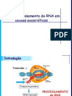Processamento Do RNA