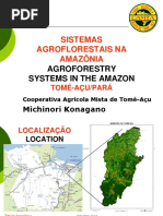 ４『アマゾン地域におけるアグロフォレストリー』