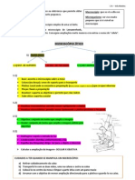 CN 2º Periodo - 2º teste