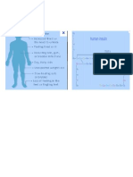 DNA Transcription Amp Trasnlation