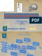 Sistem Gerak Pada Manusia