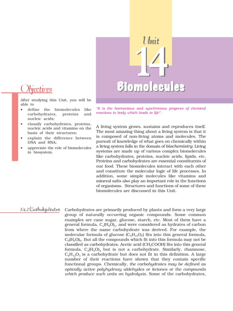 Understanding Biomolecules and Carbohydrates | PDF | Wellness