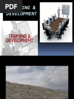 Training and Development