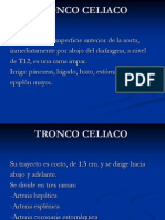 TRONCO+CELIACO