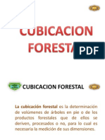 106855513 Cubicacion Forestal