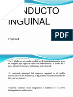 Inguinal