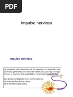 Impulso Nervioso y Sinapsis Explicados | PDF | Potencial de acción ...