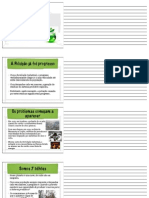 Palestra Sobre Sustentabilidade