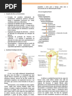 Fisiologia Renal - Resumo