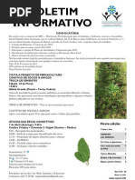Boletim Informativo MPI n.º 28