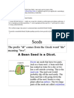 Seeds: The Prefix "Di" Comes From The Greek Word "Dis" Meaning "Two"