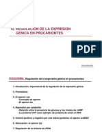 12. Regulacion de La Expresion Genica en Procariontes