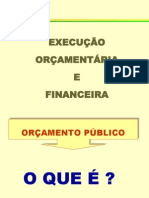 ORÇAMENTO GDF