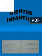 Anatomia Dientes Infantiles