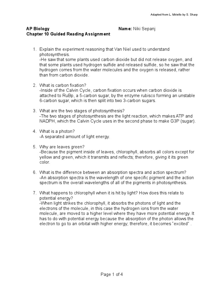 Ap bio chapter 13 meiosis image