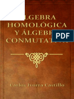 Algebra Homologica y Algebra Conmutativa