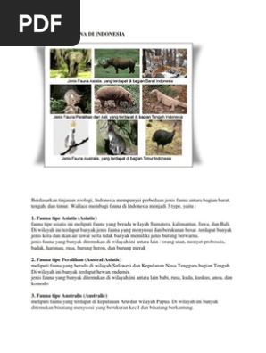 Download 900 Koleksi Gambar Fauna Indonesia Bagian Barat Tipe Asiatis Keren Gratis HD