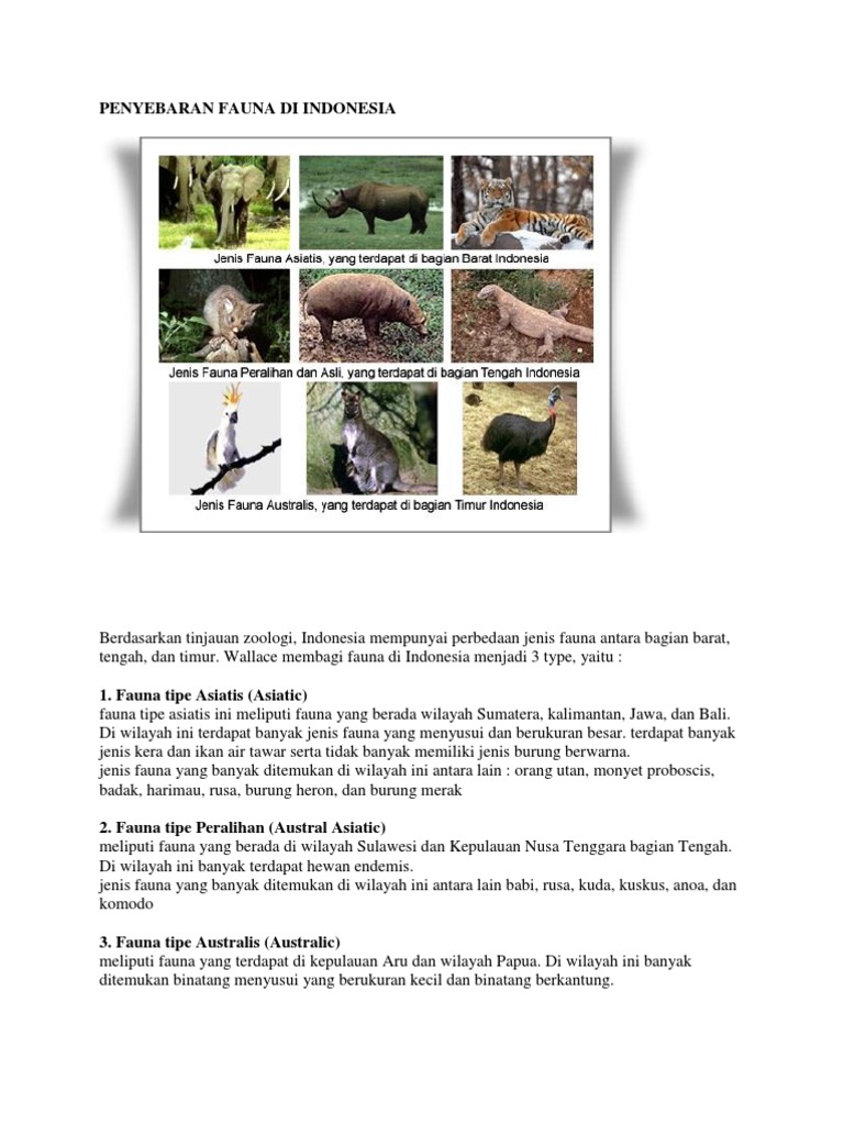 Contoh Flora Dan Fauna Tipe Asiatis Australis Dan Contoh Flora Dan Fauna Tipe Asiatis Australis Dan