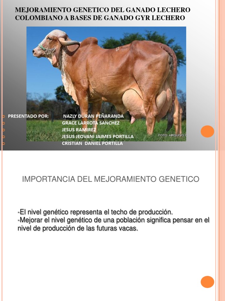 Mejoramiento en Bovinos Cattle Milk