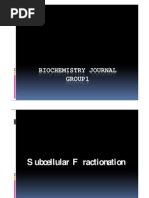 Download Biochemistry Journal by Gian Angelo Arcellana Villalon SN129554919 doc pdf