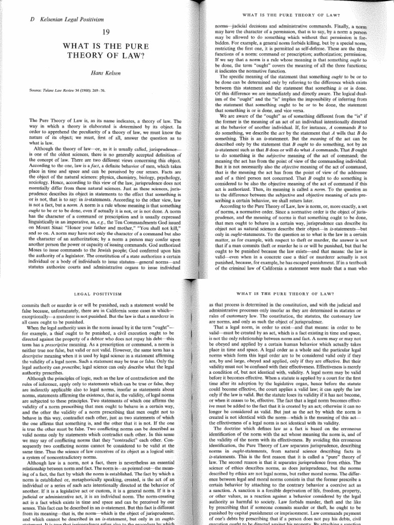 Pure Theory Of Law PDF