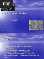 analiza cromozomilor