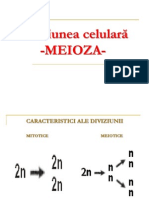 Meioza