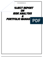 Portfolio Risk Analysis Project Report