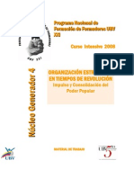 4 NG4 OrganizacionRevolucion