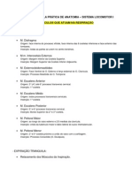 ROTEIRO ANATOMIA - Músculos Da Respiração - Caixa Torácica.