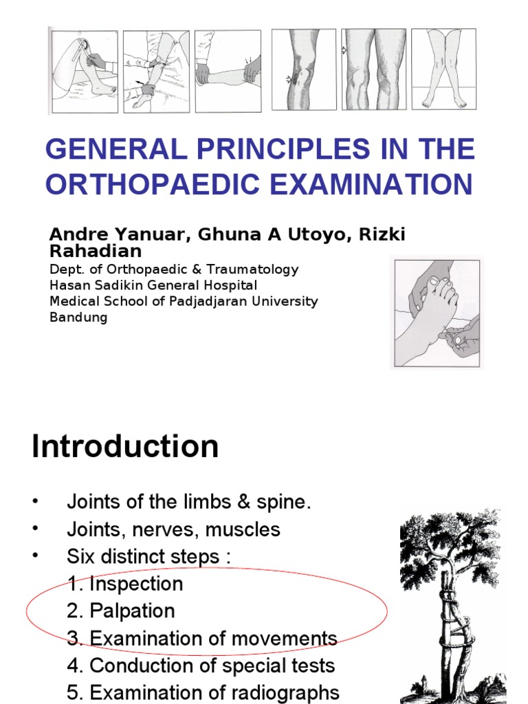 Orthopaedic Physical Examination ; General Principles.ppt Physical